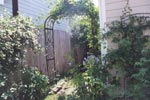 arbor in my backyard, click to enlarge