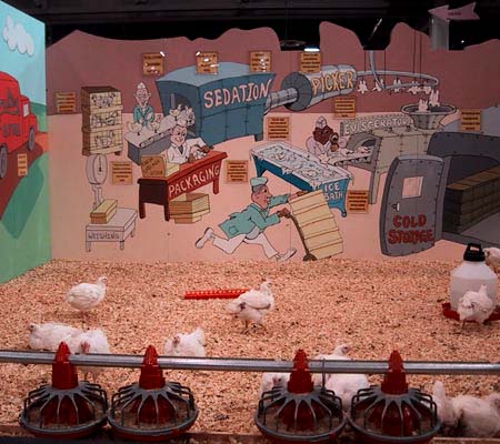 chickens whistling past the grave