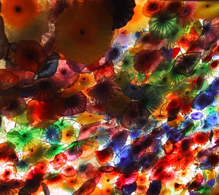 Dale Chihuly - Fiori di Como