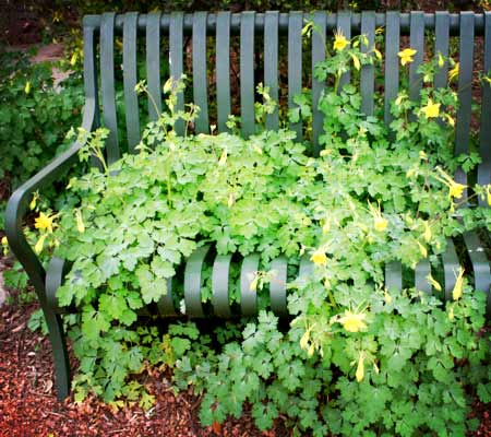 bench in fredericksburg