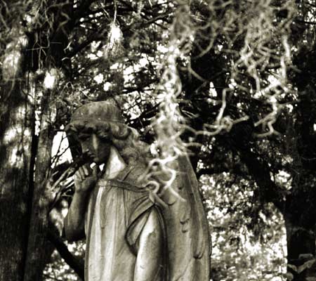 angel in cemetery