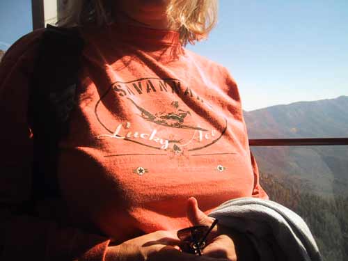 After a nice hike and a good lunch at the top, we took the tram back down. Ed took this picture of me in the tram. He was trying to hold the camera at his waist. It didn't work.