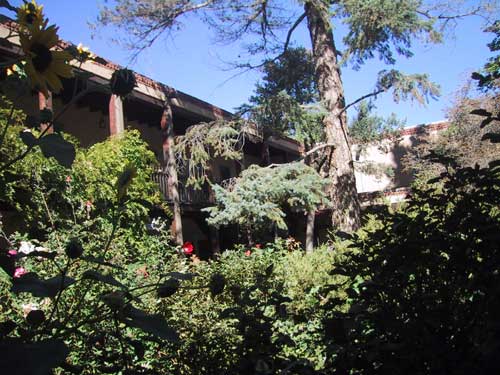 Sena Plaza is next door. There are trees, gardens, shops and a restaurant in the plaza of what was once someone's hacienda.