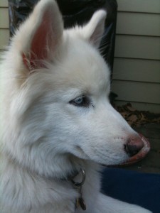 Jack