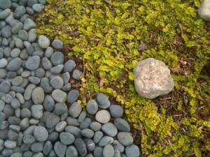 zen garden Zen Garden