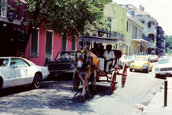 horse-and-buggy